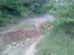 20062010322.jpg