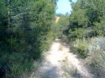 20062010323.jpg