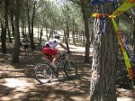 open villa de mostoles 2010 (72).jpg