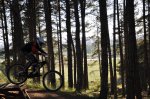 DSC_1054.jpg
