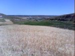 DSC00326.jpg