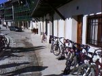 DSC00321.jpg