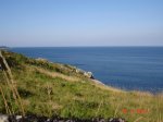 DSC03987.jpg