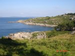 DSC03986.jpg