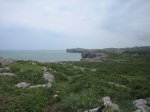 IMG_9349.JPG