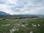 IMG_9334.JPG