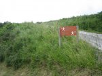 IMG_9351.JPG