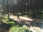 IMG_0383.jpg