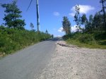 20062010_013.jpg
