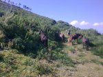 20062010_007.jpg