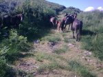 20062010_008.jpg