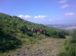 20062010_006.jpg