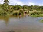 12062010609.jpg