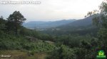matasalgado029.JPG