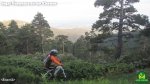 matasalgado018.JPG