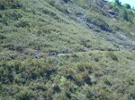 DSCN3049.jpg