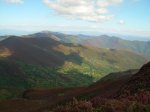 DSCN3060.jpg