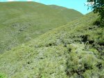 DSCN3052.jpg