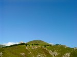 DSC00572.jpg