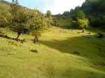 DSC00603.jpg