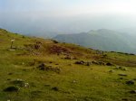 DSC00610.jpg