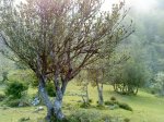 DSC00592.jpg