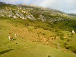 DSC00623.jpg