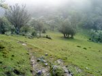 DSC00588.jpg