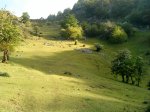 DSC00602.jpg