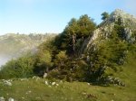 DSC00609.jpg