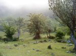 DSC00591.jpg