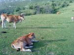 DSC00621.jpg