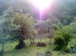 DSC00597.jpg