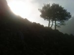 DSC00607.jpg