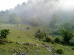 DSC00590.jpg