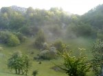 DSC00595.jpg