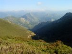 DSC00575.jpg