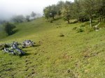 DSC00605.jpg