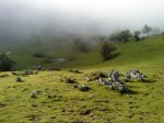 DSC00604.jpg