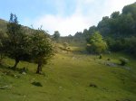 DSC00594.jpg