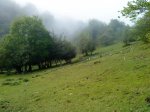 DSC00589.jpg