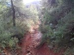 03042010487.jpg