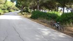 CIMG2904.jpg