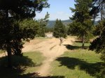 DSC00229.jpg