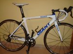 curro sheila 044.jpg