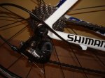 curro sheila 043.jpg