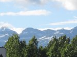 IMG_0117.jpg