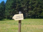 Foto32.JPG