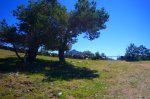 Foto29.JPG