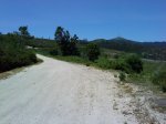 DSC00111.jpg